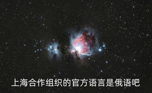 上海合作組織的官方語言是俄語吧