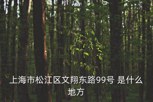 上海市松江區文翔東路99號 是什么地方