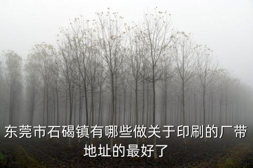 東莞當利納印刷地址，東莞市石碣鎮有哪些做關于印刷的廠帶地址的最好了