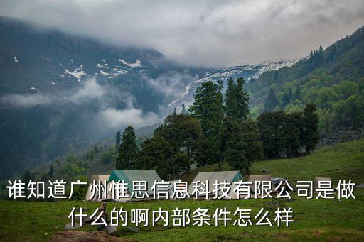誰知道廣州惟思信息科技有限公司是做什么的啊內部條件怎么樣