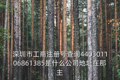 深圳市工商注冊(cè)號(hào)查詢(xún)440301106861385是什么公司地址在那主