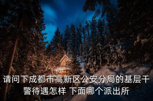 請問下成都市高新區(qū)公安分局的基層干警待遇怎樣 下面哪個派出所
