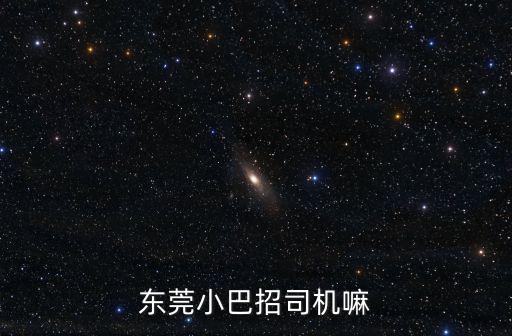 東莞小巴招司機嘛