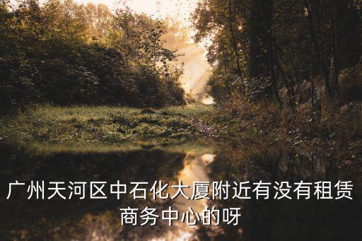 廣州洋霖商務中心，廣州市白云區機場路1718號悅城商務中心509是什么公司