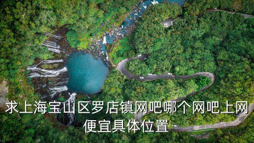 求上海寶山區羅店鎮網吧哪個網吧上網便宜具體位置