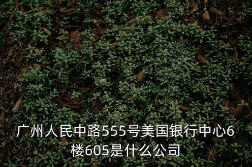 廣州微婭鋒貿易有限公司，廣州人民中路555號美國銀行中心6樓605是什么公司
