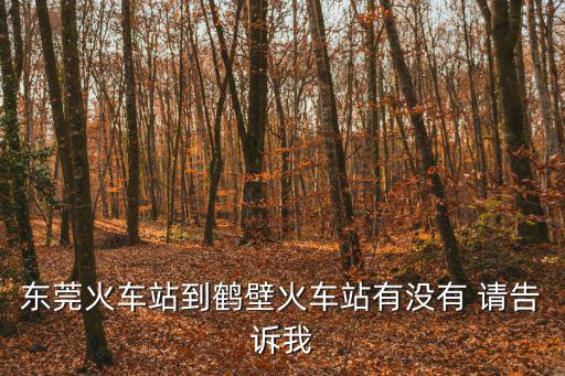 東莞火車(chē)站到鶴壁火車(chē)站有沒(méi)有 請(qǐng)告訴我