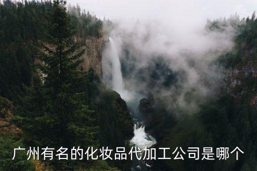 廣州有名的化妝品代加工公司是哪個