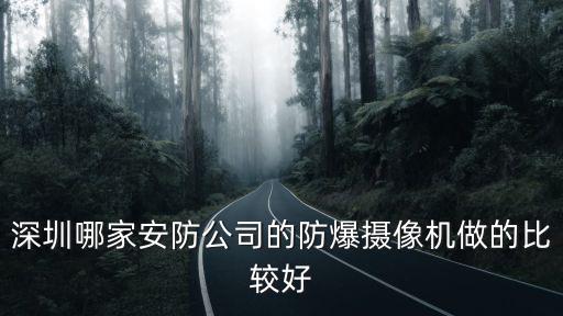 深圳哪家安防公司的防爆攝像機做的比較好