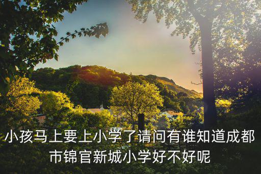 小孩馬上要上小學了請問有誰知道成都市錦官新城小學好不好呢