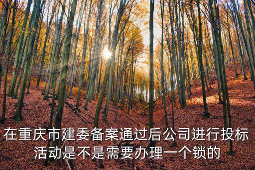 在重慶市建委備案通過后公司進行投標活動是不是需要辦理一個鎖的