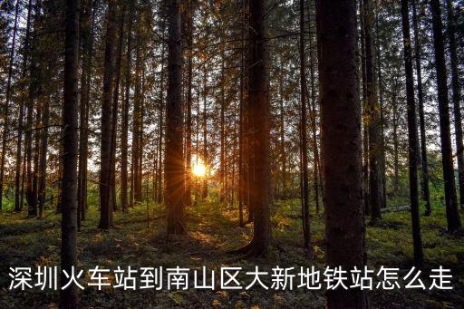 深圳火車(chē)站到南山區(qū)大新地鐵站怎么走
