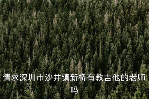 請求深圳市沙井鎮新橋有教吉他的老師嗎