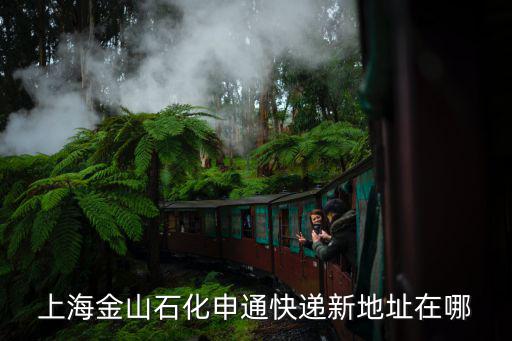 上海市金山區(qū)石化隆安路271號，上海金山石化申通快遞新地址在哪