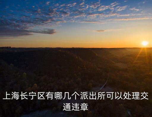 上海長寧區有哪幾個派出所可以處理交通違章