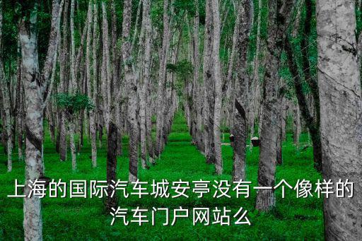 上海的國際汽車城安亭沒有一個像樣的汽車門戶網站么