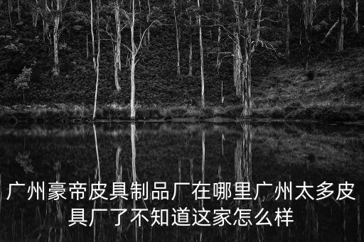 廣州市佐蒂尼皮革制品有限公司，廣州有個日本獨資的皮具加工廠誰知道