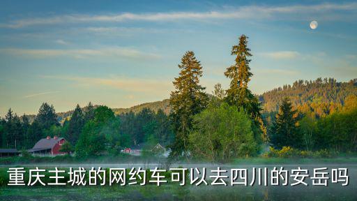 重慶主城的網(wǎng)約車可以去四川的安岳嗎