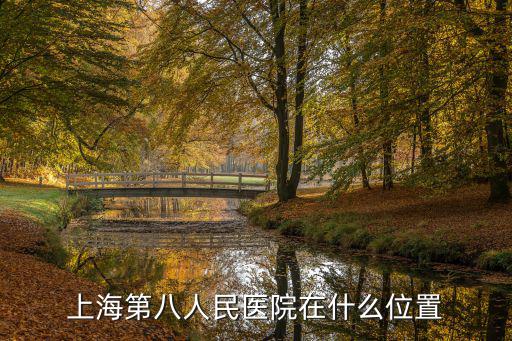 上海第八人民醫院在什么位置