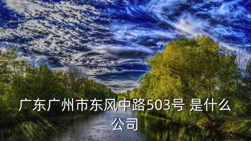 廣東廣州市東風中路503號 是什么公司