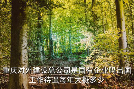 重慶對外建設總公司是國有企業嗎出國工作待遇每年大概多少