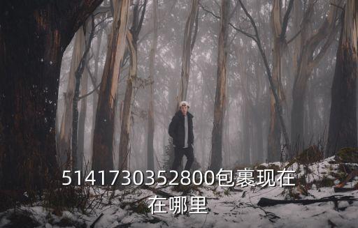 5141730352800包裹現在在哪里