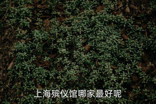 上海殯儀館哪家最好呢
