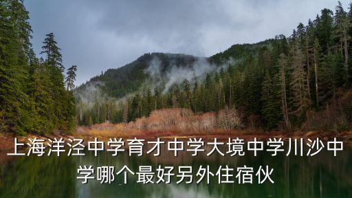 上海洋涇中學育才中學大境中學川沙中學哪個最好另外住宿伙