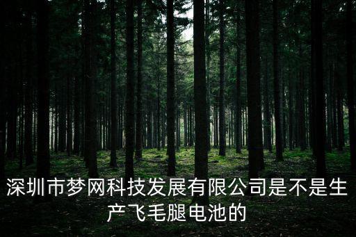 深圳夢網科技 待遇，深圳市夢網科技發展有限公司是不是生產飛毛腿電池的