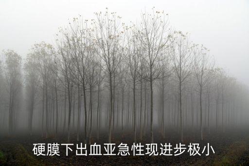 硬膜下出血亞急性現(xiàn)進步極小