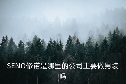 SENO修諾是哪里的公司主要做男裝嗎