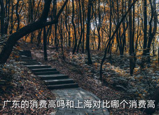 廣東的消費(fèi)高嗎和上海對(duì)比哪個(gè)消費(fèi)高