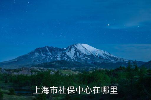 上海市社保中心在哪里