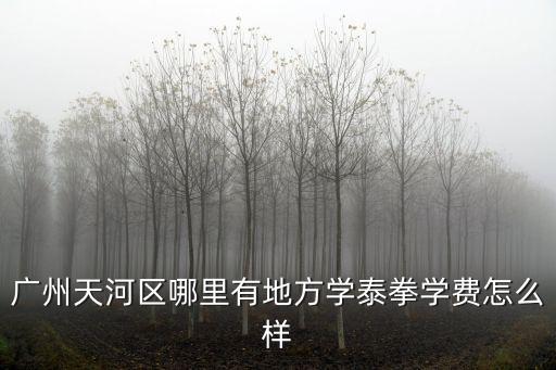 廣州天河區哪里有地方學泰拳學費怎么樣