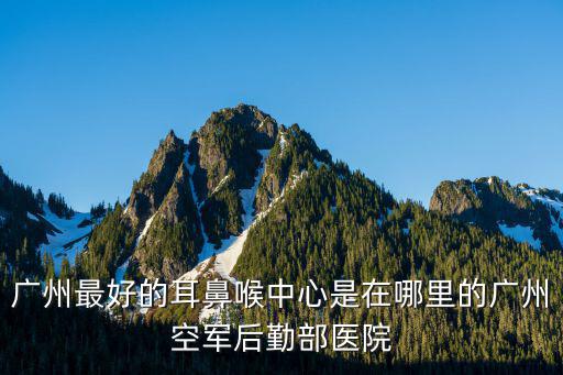 廣州最好的耳鼻喉中心是在哪里的廣州空軍后勤部醫院