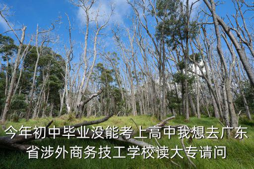 今年初中畢業沒能考上高中我想去廣東省涉外商務技工學校讀大專請問
