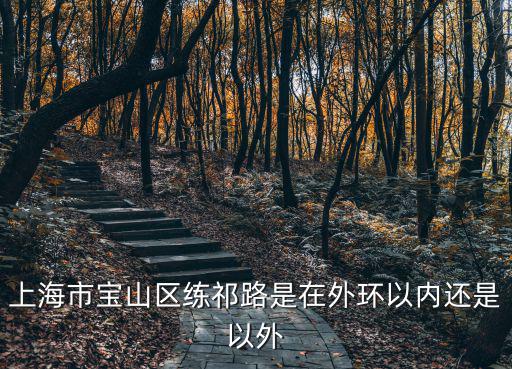 上海市寶山區練祁路是在外環以內還是以外