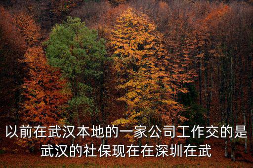 以前在武漢本地的一家公司工作交的是武漢的社保現(xiàn)在在深圳在武