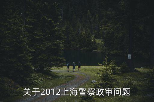 上海市國安局政審，關于國安局政審問題