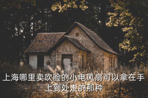 上海哪里賣吹臉的小電風扇可以拿在手上到處走的那種
