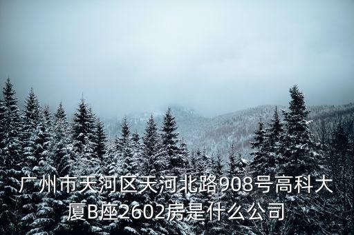 廣州市天河區(qū)天河北路908號高科大廈B座2602房是什么公司