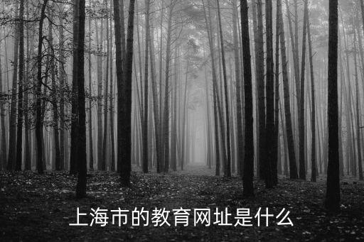 上海市的教育網址是什么