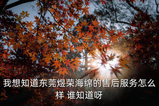 我想知道東莞煜榮海綿的售后服務怎么樣 誰知道呀