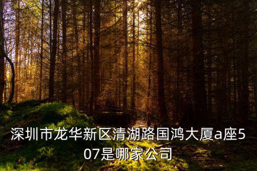 深圳市尚鼎好科技有限公司，深圳市龍華新區(qū)清湖路國鴻大廈a座507是哪家公司