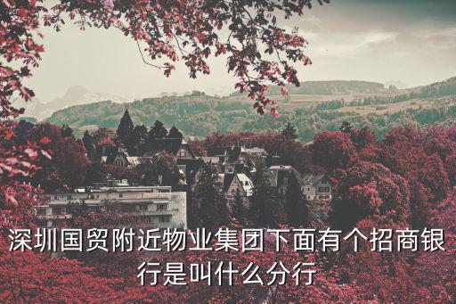 深圳國貿附近物業集團下面有個招商銀行是叫什么分行