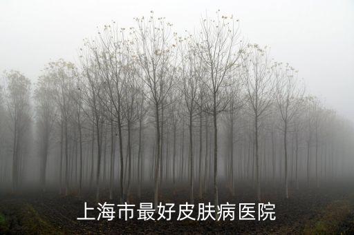 上海市最好皮膚病醫院