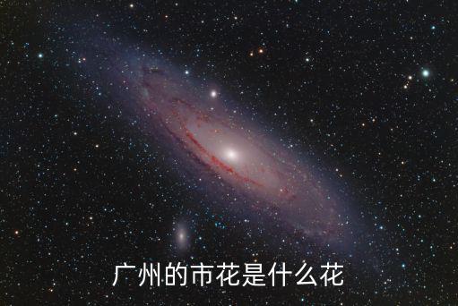 廣州的市花是什么花