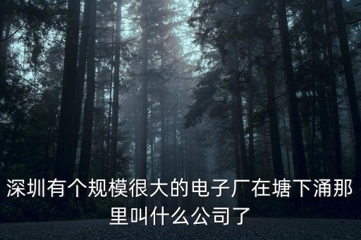 深圳有個規(guī)模很大的電子廠在塘下涌那里叫什么公司了