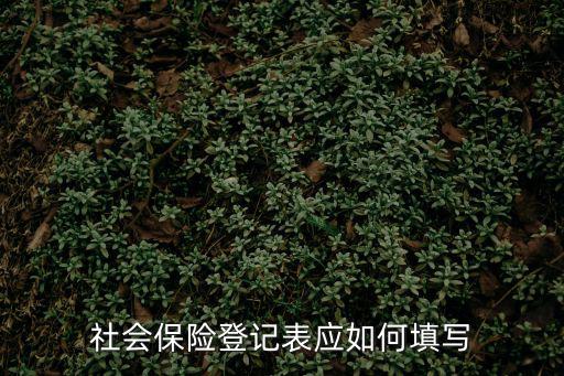 重慶市社會保險登記表怎么填寫，親重慶市參加社會保險單位職工年度工資申報明細表怎么填啊  搜