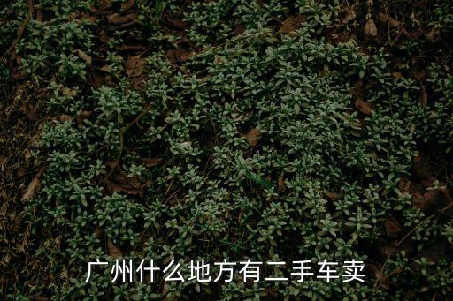 廣州哪里有二手貨車賣，請問廣州市哪地方收購二手貨車的